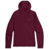 Winterberry