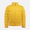 Saffron Yellow