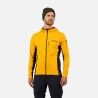 Saffron Yellow