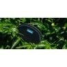 Kavu Snuggy Spectator - Torebka nerka | Hardloop