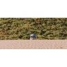 Kavu Organic Strapcap - Casquette | Hardloop