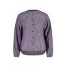Shaded Purple