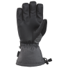 Dakine Scout Gloves - Skihandschuhe | Hardloop