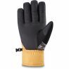 Dakine Bronco Gore-Tex Glove - Gloves - Men's