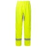 Neon Yellow