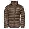 Deer Brown