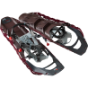 Iron