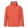 Mica
