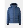 Blue-Grey