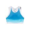 Palace Blue / Norse Blue