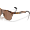 Oakley Frogskins Range XL - Lunettes de soleil | Hardloop