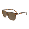 Glossy Tortoise Shell