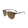 Glossy Tortoise Shell