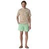 Patagonia Baggies Shorts 5 in. - Shorts - Herren