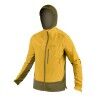 Dark Yellow / Yellow