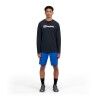 Berghaus Big Logo LS Tee - T-shirt meski | Hardloop