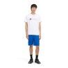 Berghaus Class XL-Logo Tee - T-paita - Miehet | Hardloop