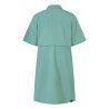 Berghaus Everyday Explorer Dress - Dress - Women's | Hardloop