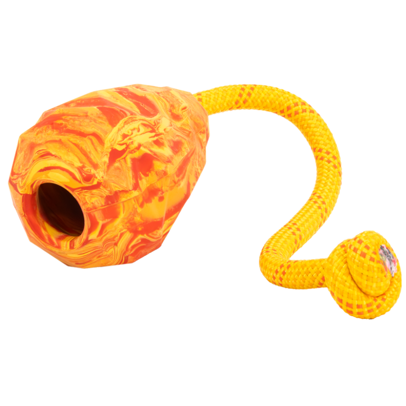 Huck-a-Cone Toy - Hundtillbehör