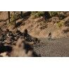 7mesh Atlas Jersey SS - Cycling jersey - Women's | Hardloop