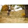 7mesh Desperado Merino Shirt SS - Cykeltrikå - Herr | Hardloop