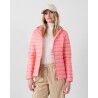 Vibrant Pink