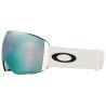 Oakley Flight Deck Pro L - Skibrille | Hardloop