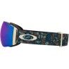 Oakley Flight Deck Pro L - Skibrille | Hardloop