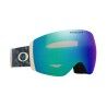 Oakley Flight Deck Pro L - Skibrille | Hardloop