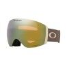 Oakley Flight Deck Pro L - Skibrille | Hardloop