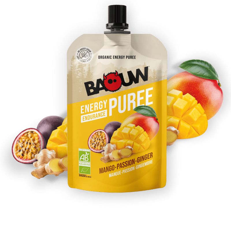 Mangue-Passion-Gingembre - Purê energético