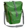 Parrot Green