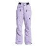 Roxy Passive Lines Pt - Pantalones de esquí - Mujer | Hardloop