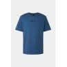 Blue-Grey