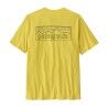 P-6 Outline: Lemon Zest