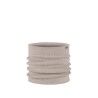 Lilon Birch Gray