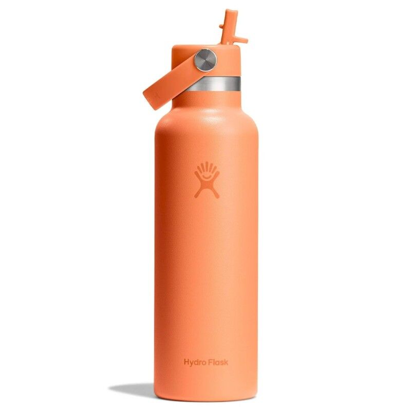 21 Oz Standard Flex Straw Cap - Termoska