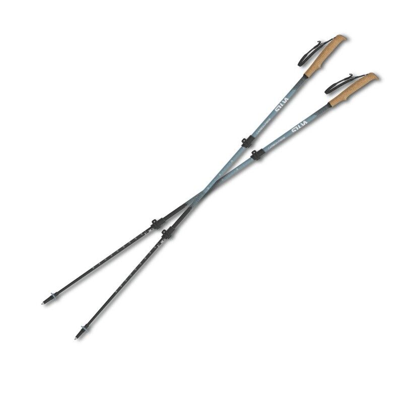 Trekking Poles Carbon Tele - Bâtons randonnée