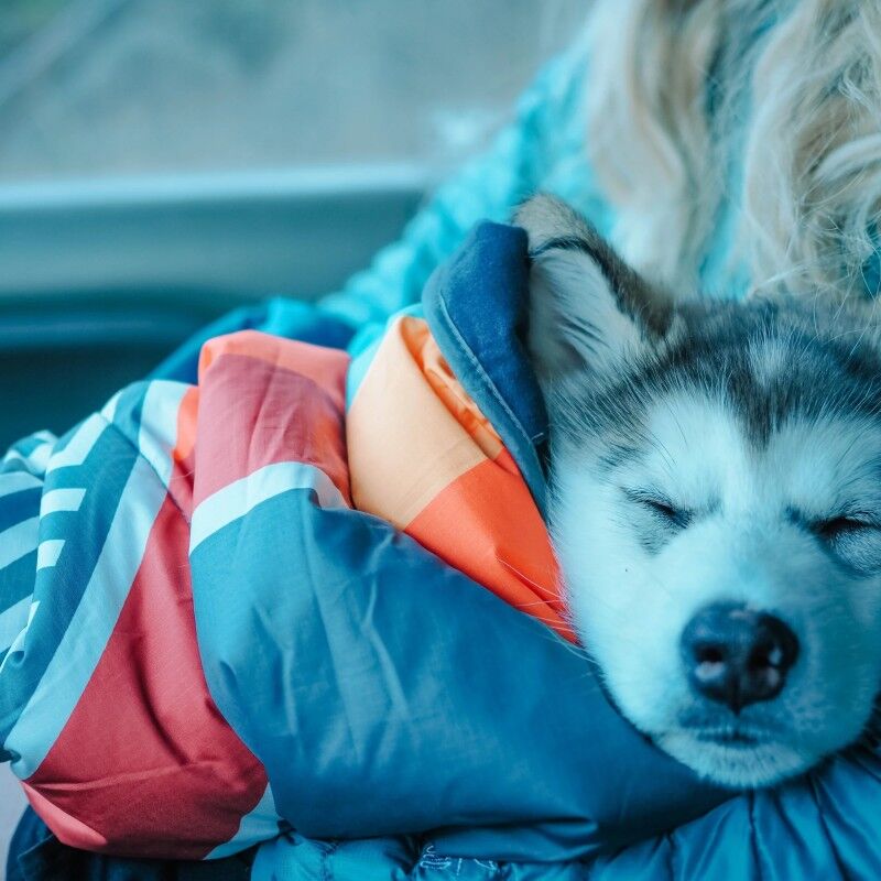 Voited Pet Blanket - Dog Blanket | Hardloop