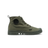 Olive Night
