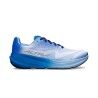 Blue / Gray