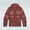 Chestnut