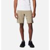 Silver Ridge Utility Cargo Short - Calção caminhada homem