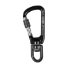 Black Shiny