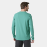 Helly Hansen Lifa Active Solen Ls - UV Protection T-shirt - Men's | Hardloop
