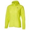 Lightning Yellow