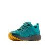 Columbia Peakfreak Roam Waterproof - Walking shoes - Men's | Hardloop