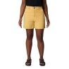 Sand Dune