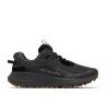 Shark / Black