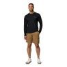 Columbia Alpine Chill Pro LS Crew II - Trui - Heren | Hardloop